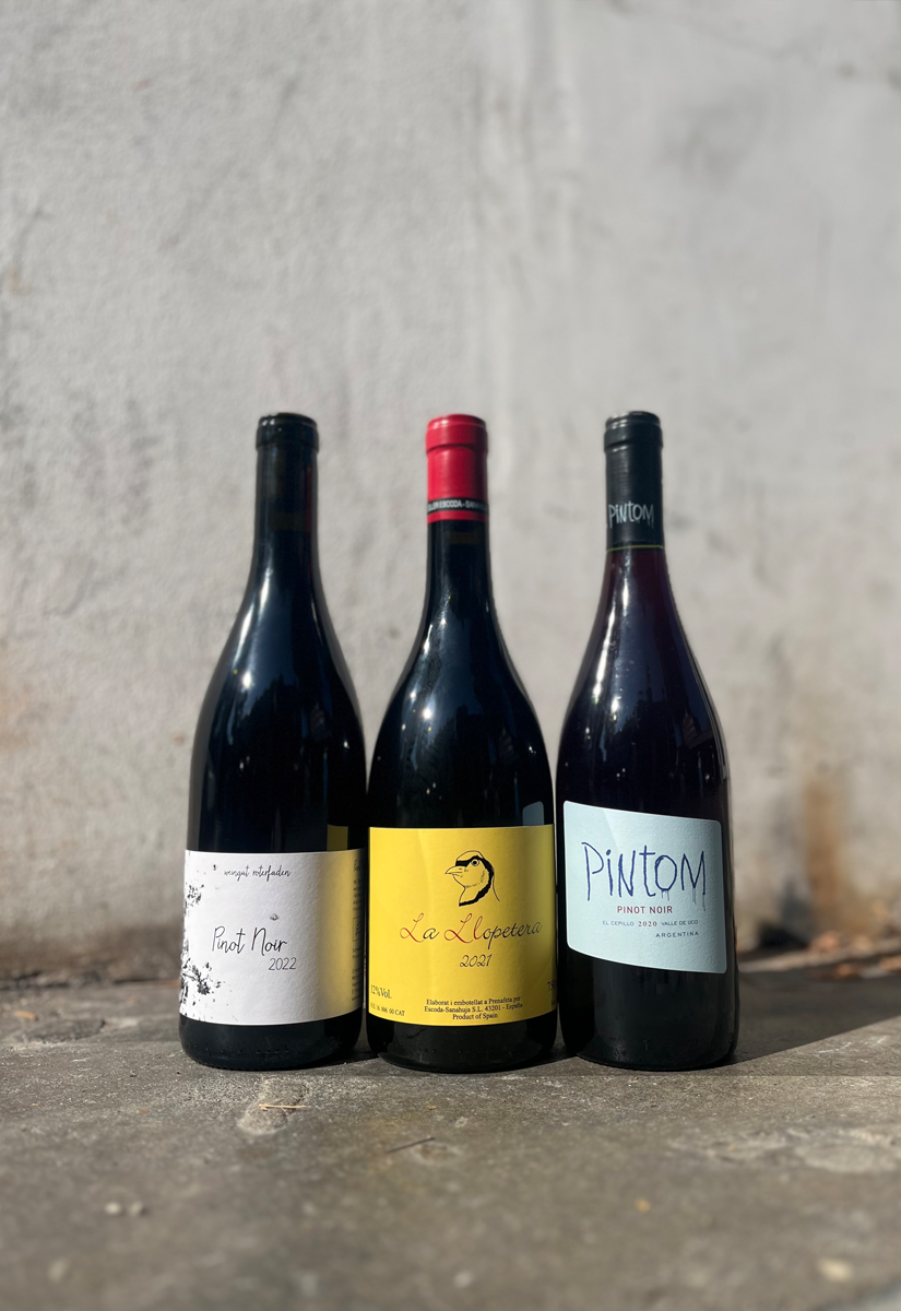 3er Paket: Pinot Noir