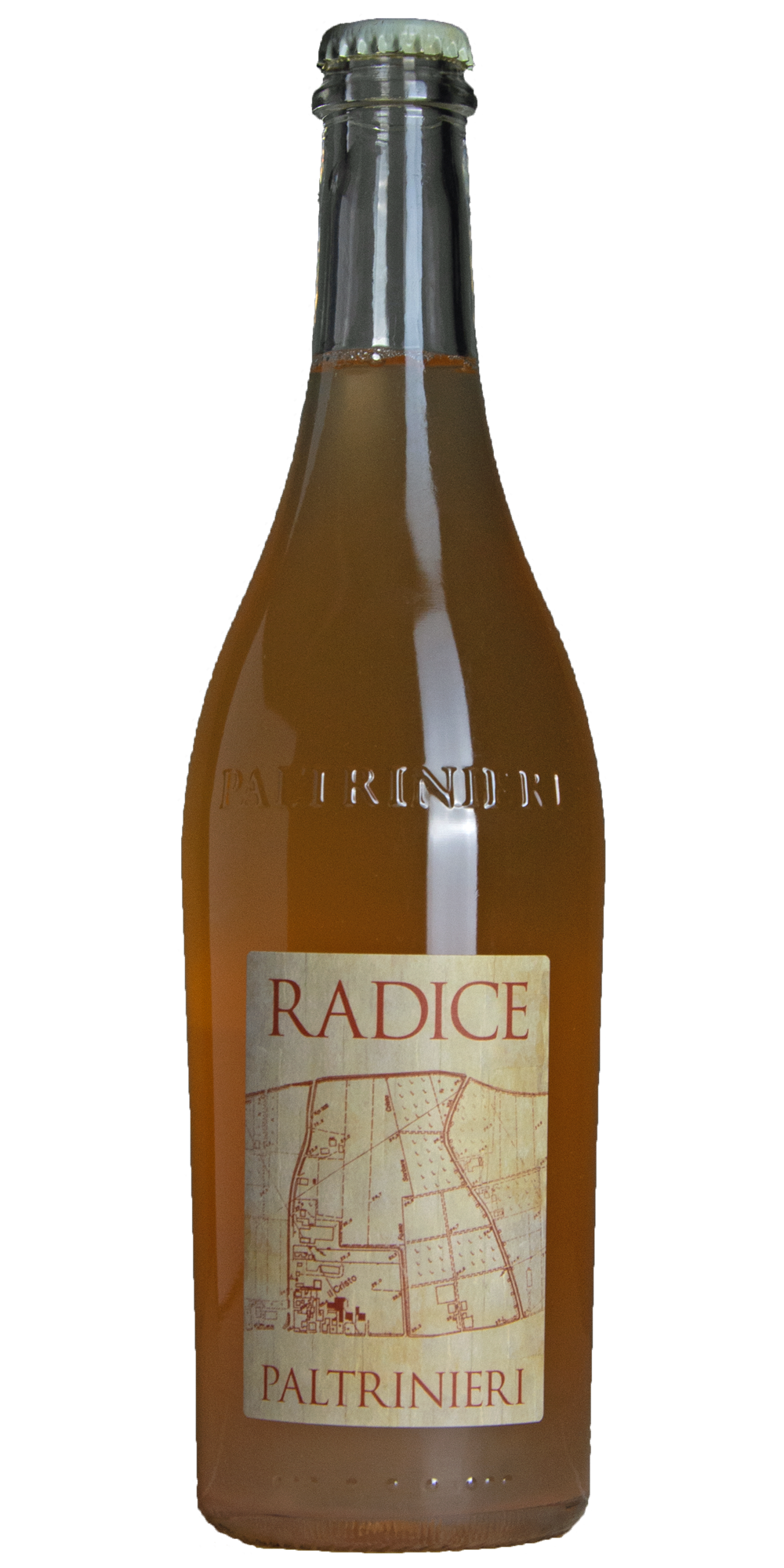 Lambrusco Radice