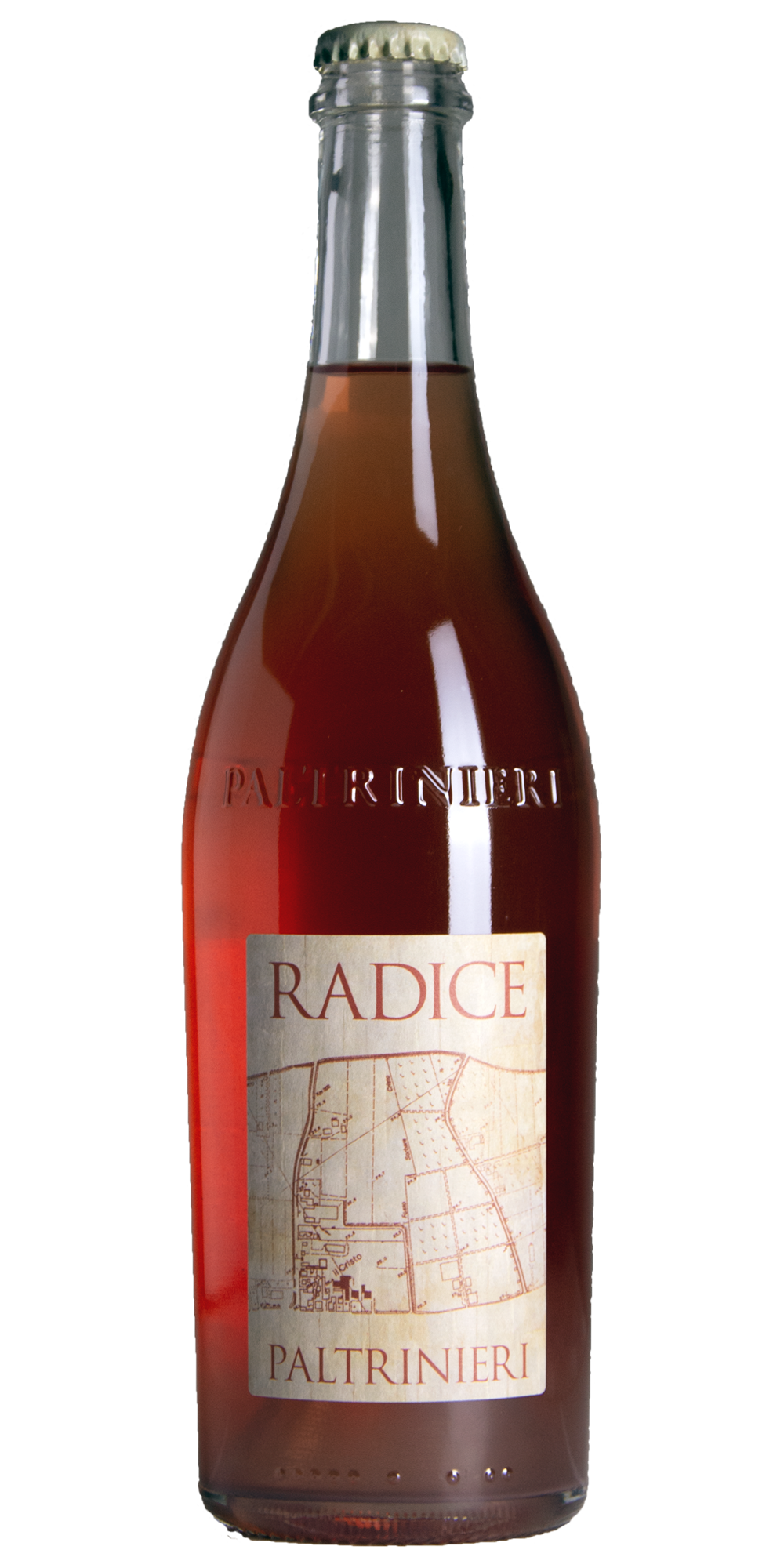 Lambrusco Radice